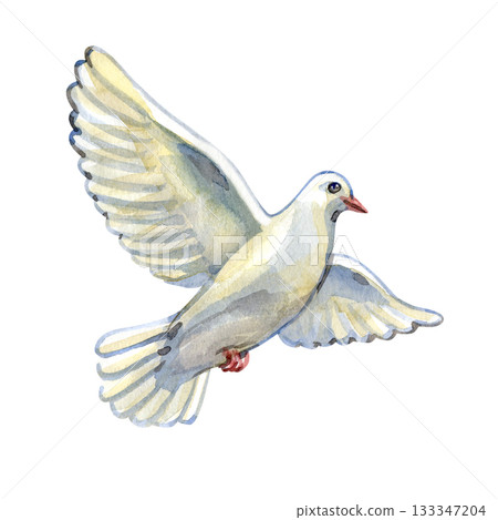 Graceful watercolor dove in flight, symbol of peace, hope, purity, and faith. Perfect for religious designs, invitations, Easter themes, memorial cards, spirituality projects, and branding. Graceful watercolor dove in flight, symbol of peace, hope, purity, and faith. Perfect for religious designs, invitations, Easter themes, memorial cards, spirituality projects, and branding. 133347204