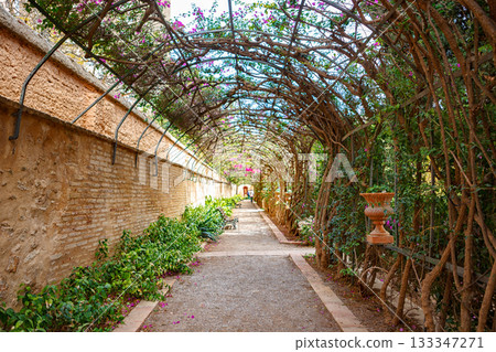 Peaceful Garden Walkway Adorned With Flowering Vines in a Serene Outdoor Setting Peaceful Garden Walkway Adorned With Flowering Vines in a Serene Outdoor Setting 133347271
