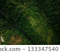 Aerial view of artist trail in Ubud, Bali 133347540