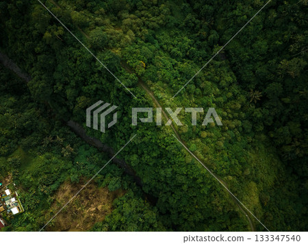 Aerial view of artist trail in Ubud, Bali 133347540