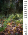 Autumn forest plants with soft focus and watercolor bokeh 133347541