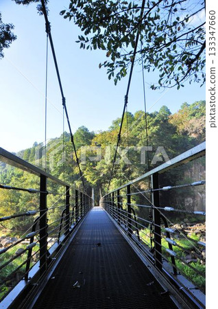 Sekinoo Falls Suspension Bridge 133347660