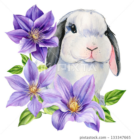 Bunny with soft gray ears surrounded by purple clematis flowers in delicate watercolor spring illustration for kids design 133347665
