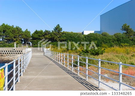 Around Sanbanze tidal flats, Funabashi City, Chiba Prefecture November 2025 133348265