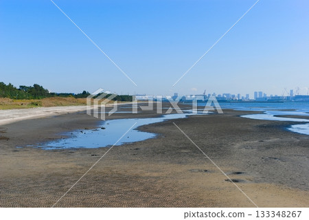 Around Sanbanze tidal flats, Funabashi City, Chiba Prefecture November 2025 Around Sanbanze tidal flats, Funabashi City, Chiba Prefecture November 2025 133348267