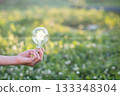 Innovative light bulb shines bright amidst nature 133348304