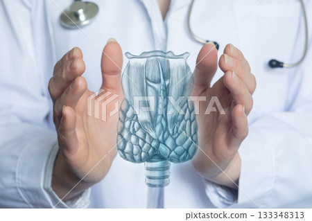 Thyroid anatomy demo. 133348313