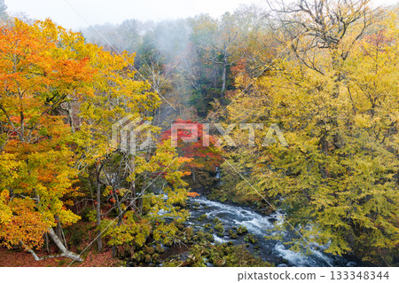 Takimi橋樑秋葉 Takimi橋樑秋葉 133348344