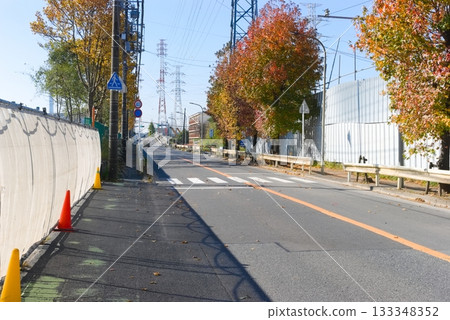 Around Tokyo Customs, Ichikawa City, Chiba Prefecture November 2025 Around Tokyo Customs, Ichikawa City, Chiba Prefecture November 2025 133348352