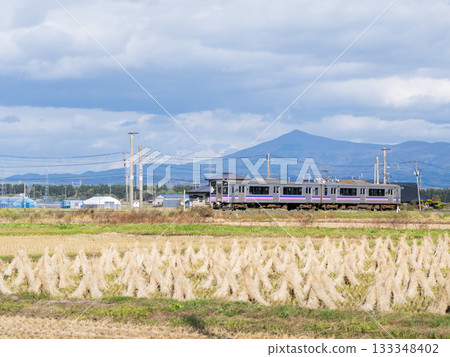 [Tazawako Line] A local train running through the autumn countryside 133348402