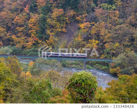 【田澤湖線】一列普通列車穿過秋葉飄落的山谷。 133348428