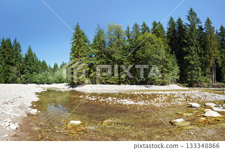 Shallow river flowing in forest, sun shines on round stones and trees at both sides 133348866