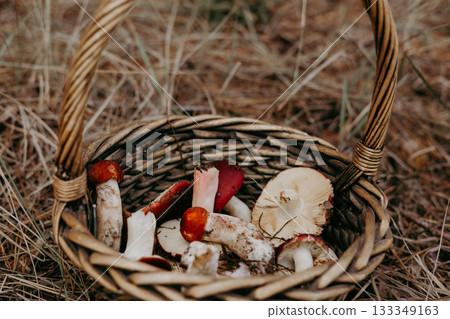 Freshly picked raw mushrooms in a rustic basket, ready for cooking or display. A woven basket is filled with a variety of colorful mushrooms, perfect for foraging enthusiasts or culinary projects Freshly picked raw mushrooms in a rustic basket, ready for cooking or display. A woven basket is filled with a variety of colorful mushrooms, perfect for foraging enthusiasts or culinary projects 133349163
