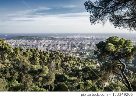 Expansive view of the Barcelona cityscape and coastline extending towards the mediterranean sea, seen from the lush, forested slopes of the Collserola massif  133349206