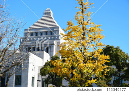 Houses of Parliament  133349377