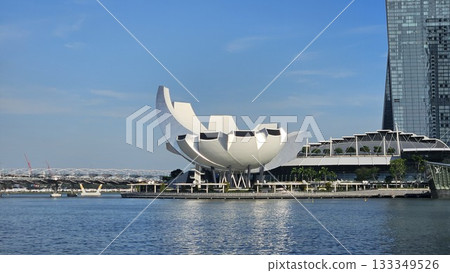 This is marina bay sands with art building 133349526