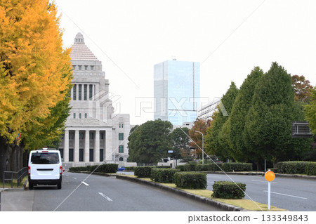 國民議會大樓 133349843