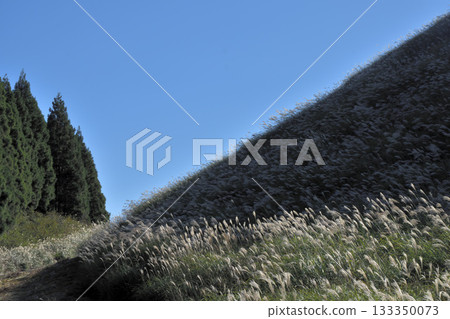 Hosono Plateau Hosono Plateau 133350073