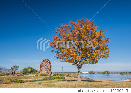 滋賀縣東近江市伊波湖能登川水車 滋賀縣東近江市伊波湖能登川水車 133350945
