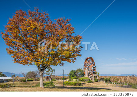 滋賀縣東近江市伊波湖能登川水車 滋賀縣東近江市伊波湖能登川水車 133350972