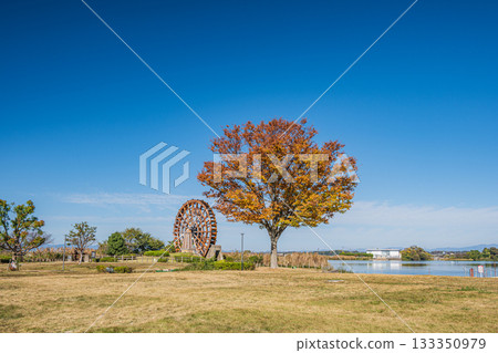 滋賀縣東近江市伊波湖能登川水車 133350979