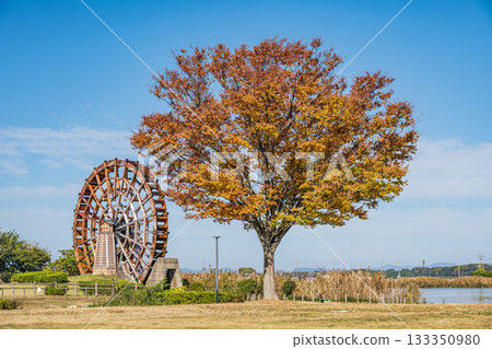 Notogawa Waterwheel, Lake Iba, Higashiomi City, Shiga Prefecture Notogawa Waterwheel, Lake Iba, Higashiomi City, Shiga Prefecture 133350980