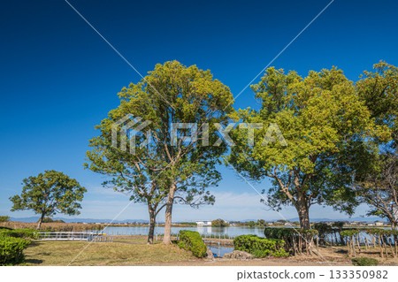 滋賀郡東近江市伊拜內湖濱水公園 滋賀郡東近江市伊拜內湖濱水公園 133350982