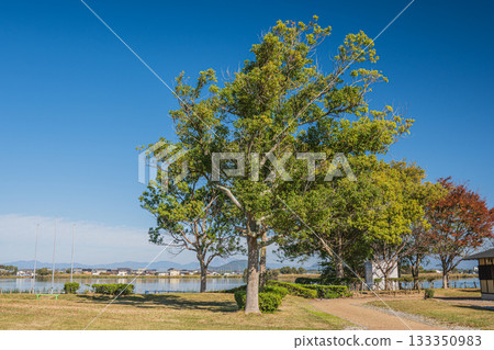 Ibainai Lake Waterside Park, Higashiomi City, Shiga Prefecture Ibainai Lake Waterside Park, Higashiomi City, Shiga Prefecture 133350983