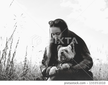 White young woman lovingly holds a small dog in a black and white portrait. A woman with adorable Yorkshire Terrier on a walk in autumn day, White young woman lovingly holds a small dog in a black and white portrait. A woman with adorable Yorkshire Terrier on a walk in autumn day, 133351010