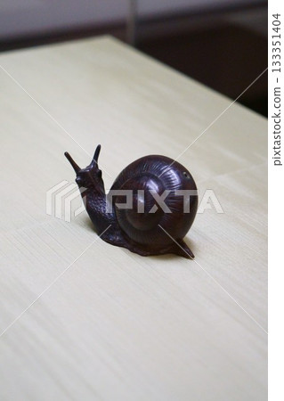 9477 人工耳蝸壺 9477 人工耳蝸壺 133351404