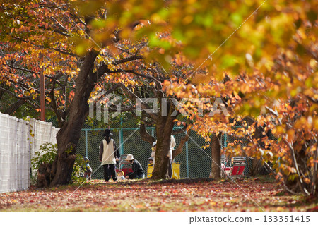 幼兒園的孩子和老師們在秋日的公園玩耍,美麗的秋葉映襯著他們。 幼兒園的孩子和老師們在秋日的公園玩耍,美麗的秋葉映襯著他們。 133351415