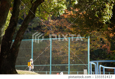 Nursery school children playing in the autumn park 133351417