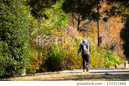 Senior man walking in the park on an autumn morning Senior man walking in the park on an autumn morning 133351469