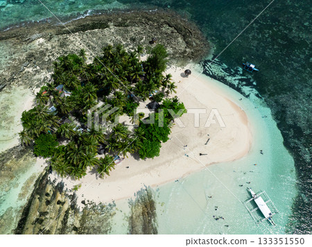 Top view of island with palm trees and sandy beach surrounded by turquoise water and coral reef. Guyam Island. Siargao, Philippines. 133351550