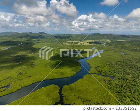 Expansive mangrove landscape with river flowing toward distant valley and mountains. Siargao, Philippines. 133351552