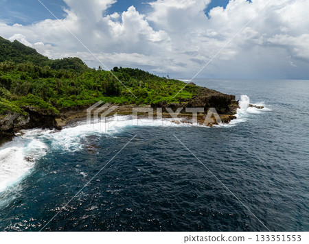 Dense forest and rocky headland with waves crashing against the shore under partly cloudy skies. 133351553