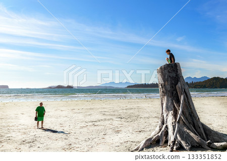 Dad and son are in the sandy beach, boy climed the stump. 133351852