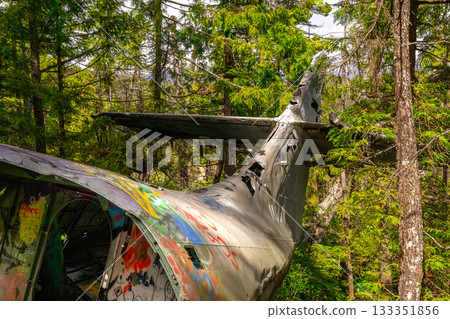 Canso bomber plane crash site in the summer rainforest. Canso bomber plane crash site in the summer rainforest. 133351856