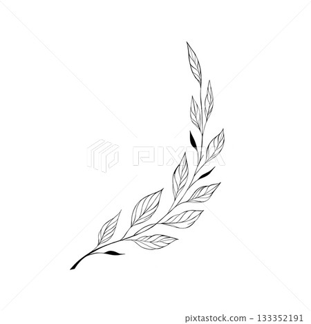 Foliage, Botanical, Flower 133352191