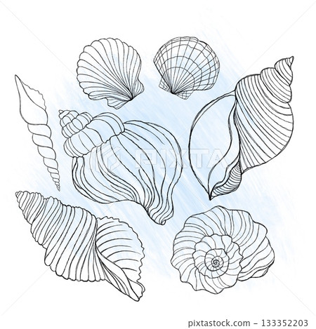 Line art illustration of a seashell on blue watercolor background. Shell tattoo idea. Hand drawn nautical engraving of nautical prints isolated on white background Line art illustration of a seashell on blue watercolor background. Shell tattoo idea. Hand drawn nautical engraving of nautical prints isolated on white background 133352203