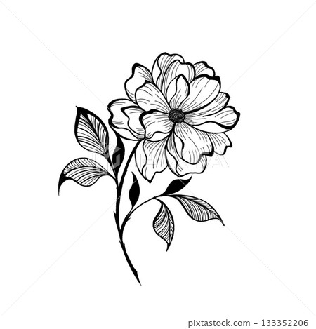 flower in line art style. Black and white line illustration of daisy flowers on a white background. Line art botany tattoo flower in line art style. Black and white line illustration of daisy flowers on a white background. Line art botany tattoo 133352206