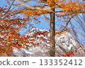 Maple leaves, Niigata Prefecture, Mt. Myoko, snow scene 133352412