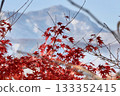 Maple leaves, Niigata Prefecture, Mt. Myoko, snow scene 133352415
