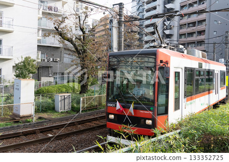 東京櫻花電車8900系列 133352725