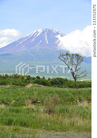 富士山（朝日浦/靜岡縣富士宮市） 133352970