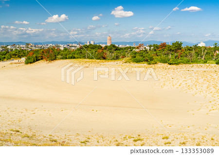 <<Shizuoka Prefecture>> Nakatajima Sand Dunes - Scenery under clear skies 133353089