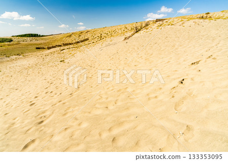 靜岡縣中田島沙丘 - 晴空下的景色 133353095