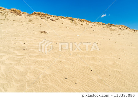 靜岡縣中田島沙丘 - 晴空下的景色 133353096