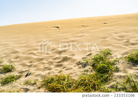 <<Shizuoka Prefecture>> Nakatajima Sand Dunes - Scenery under clear skies <<Shizuoka Prefecture>> Nakatajima Sand Dunes - Scenery under clear skies 133353106