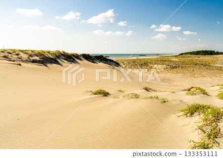 靜岡縣中田島沙丘 - 晴空下的景色 133353111